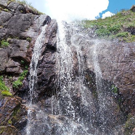 Avusor mola cafe ve pansiyon Çamlıhemşin Dış mekan fotoğraf